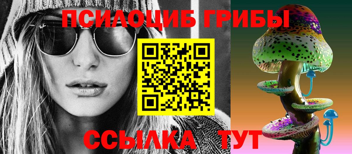 Псилоцибиновые грибы Psilocybe  Вход с VPN  Феодосия  Псилоцибиновые грибы GOLDEN TEACHER 