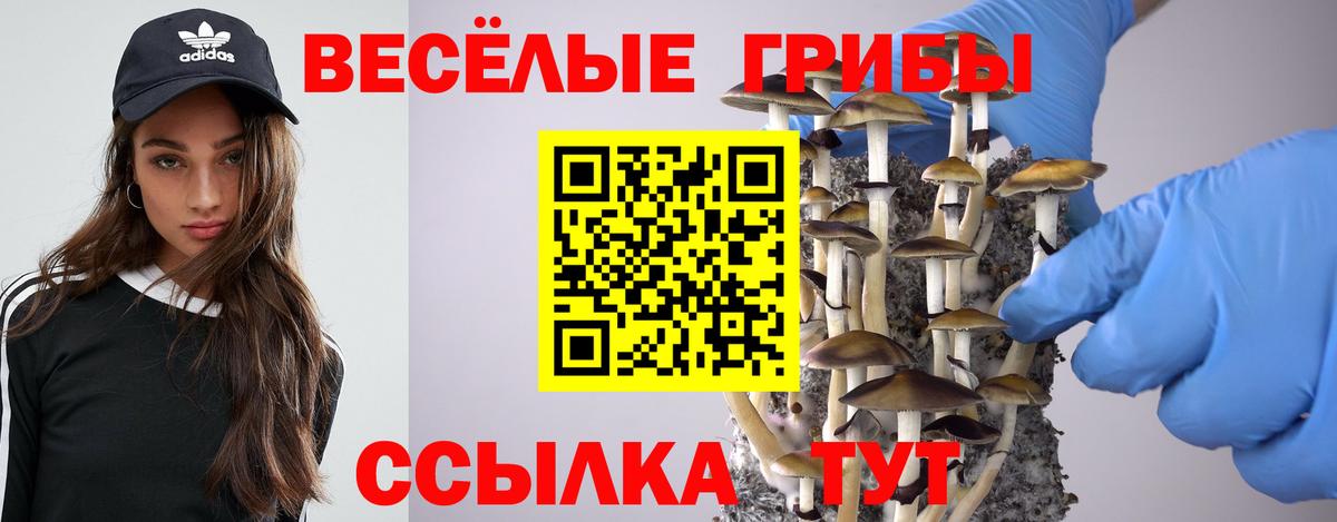 Галлюциногенные грибы GOLDEN TEACHER Феодосия